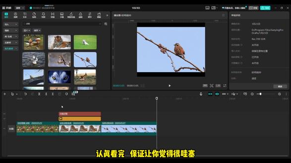 提升剪辑效率第八期—快速给贴纸、文字层加转场 用透明图层可以轻松实现贴纸、文字层转场效果#新手小白剪辑 #剪映 #剪映教程 #剪辑教程