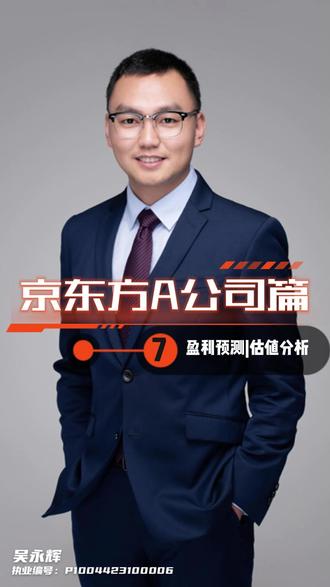 #京东方A公司篇-盈利预测及估值分析