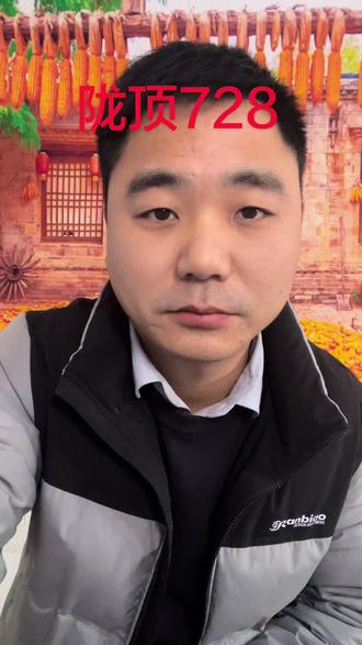 陇顶728优缺点分析