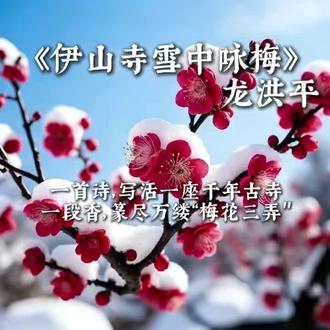 诗乐同源,四音同韵,独绘咏梅诗新篇 此诗是伊山雪梅·三弄古典笛乐+禅乐+乐源+诗声融合篇
核心:以东晋桓伊《梅花三调》笛乐为魂,伊山寺佛乐为骨,南岳衡山风雪声为底、迴雁峰雁声为劲 作地域自然乐源,熔铸《伊山寺雪中咏梅》诗声为核,四重声韵交织,强化迴雁峰雁声的穿透力与层次感,贴合原诗“雪梅、古寺、湖湘文脉、迴雁峰典故”的苍茫意境,以“乐承古韵、源立地域、诗铸精魂”的首创形式,打造咏梅诗史中兼具禅意、湖湘风骨与声韵张力的独特篇章,让诗的文字化作可感、可触、可沉浸的声韵画卷。