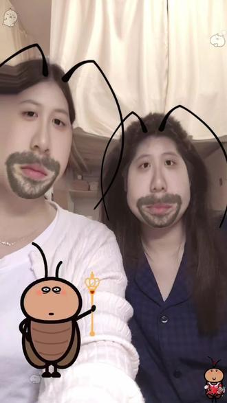 笑死我了😂😂😂#寝室日常