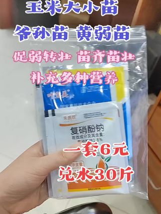 #大小苗 #玉米 #玉米种植 #好物推荐🔥 #三农
