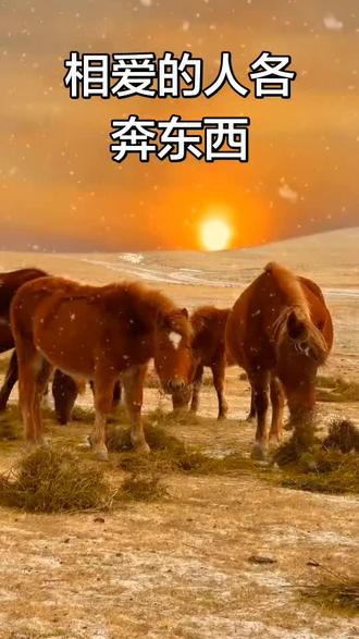 虽然我们将各奔东西,但那份情谊永存心间。