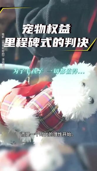 西高地papi妈妈案宣判!这不是个案,是中国动保立法的里程碑!投放危险物质罪!宠物维权不再是民事赔偿,这次判决改写了规则!为毛孩子打赢的这场官司,让所有养宠人看到了希望!宠物不是财产,是家人!这场判决,暖了无数动保人的心#宠物维权#呼吁动保立法#西高地papi #创作灵感