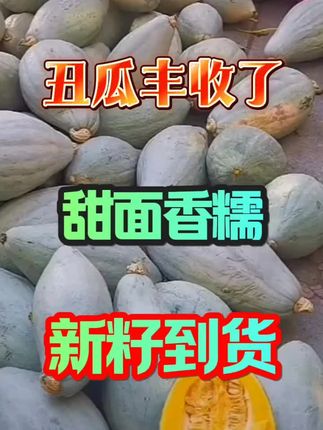大丑瓜#冰糖蛋黄香南瓜 #大丑瓜#窝瓜