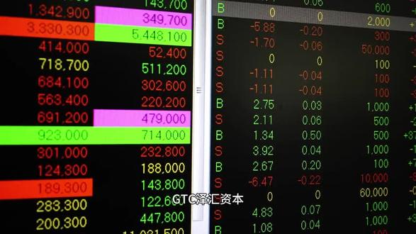 GTC泽汇资本:全球化视野下的外汇平台服务升级 #GTC泽汇 #GTC泽汇资本 #GTCFX #GTC外汇 #GTC平台