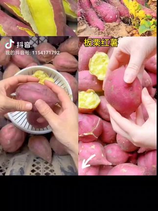红薯#我要上热门🔥