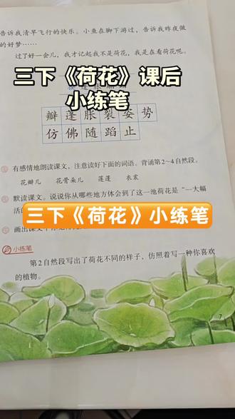 三下《荷花》这样写能成为优秀的范文#课后小练笔仿写 #三年级下册语文 #小学语文课本 #小学语文 #每天学习一点点