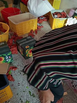 努力每天努力一点点,累并快乐着,秋风来了、炎陵高山黄桃、奈李、还有几天也要结束了,现摘现发的果子,价格实惠、拍到就是赚到,需要的尽快来小黄车抢购,欢迎大家。