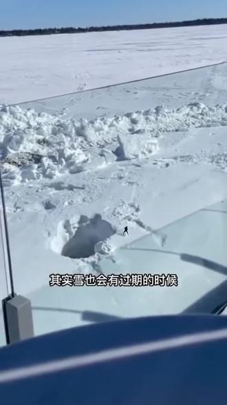 不是所有的雪都可以跳起来扎进雪堆里,时间长了就会变硬#冬天玩雪#下雪#冬季#冬天该有的样子 #雪地里撒欢