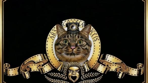 狸猫道长:滴滴赶尸行。 #AI电影 #原创动画