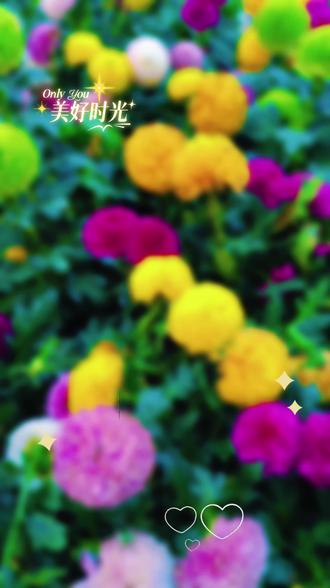 祝新年快乐!阖家安康!