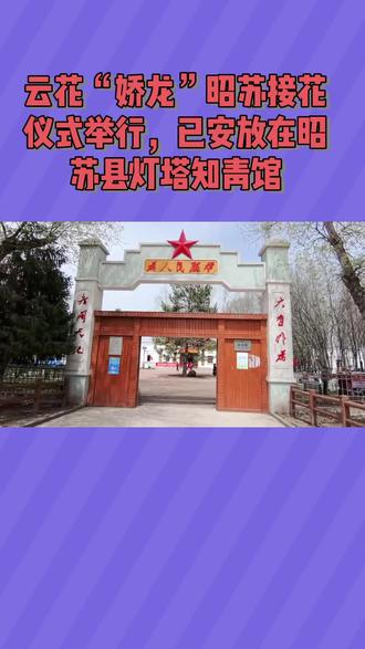 “娇龙”月季巳被安放在昭苏县灯塔知青馆