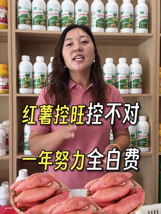 红薯控旺套餐#红薯增产 #厂家直发品质保证 #沃巴盾农业