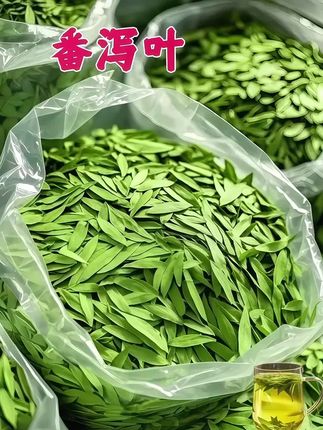 #看过来 #番泻叶 #神器 #好用 #强烈推荐