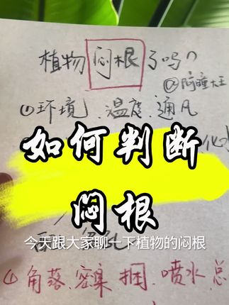 #三农种植技巧 #创作者中心 #创作灵感 #闷根 #天堂鸟