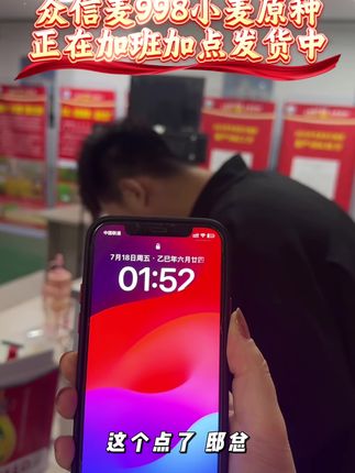 众信麦668小麦,我们加班加点给大家发货#众信麦998#助力三农 #高产小麦 #小麦高产