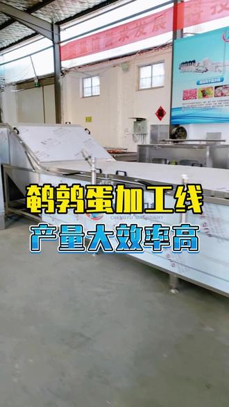 鹌鹑蛋加工流水线自动化作业,去壳清洗一体成型,量产加工省时省力#鹌鹑蛋加工流水线 #鹌鹑蛋加工设备 #鹌鹑蛋定心蒸煮流水线 #蛋品加工流水线