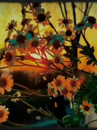 一个真正快乐的人,是那种在走弯路时,也不忘享受风景的人