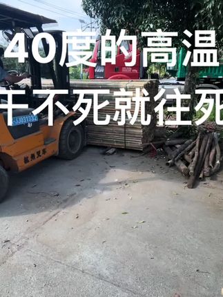玉米囤竹排,厂家直销,全国发货
