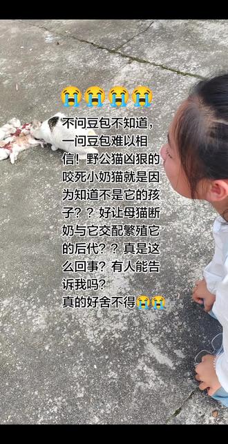 多可爱的小奶猫,太可怜了😭😭😭😭😭
