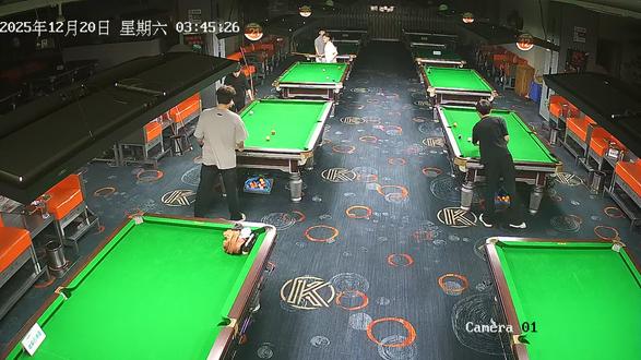 数一数一共打进几颗#台球