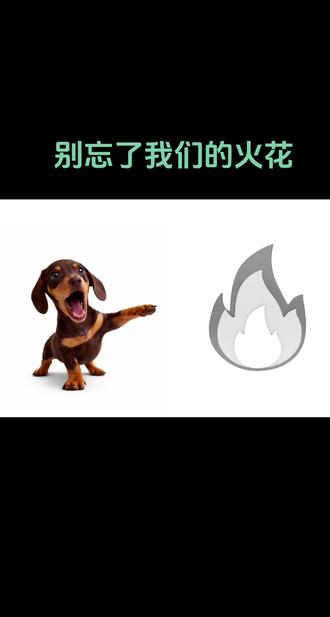 别忘了续火花 #火花#续火花了🔥🔥🔥
