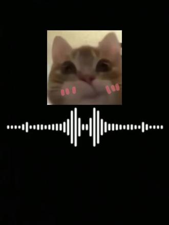 【Q&A】第一弹:跟日男怎么认识的#日男 #中日情侣 #情侣 #跨国恋 #网恋