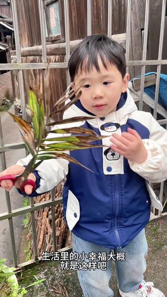 #创作者中心 #创作灵感 #陪伴孩子的美好时光 #带娃日常 #绿植
不用轰轰烈烈,不用刻意安排,就是普普通通的一天,孩子安安静静剪会儿绿植,你在旁边看着,心里踏实又满足。