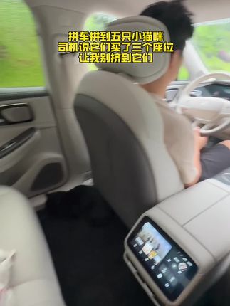 果冻是只可爱猫