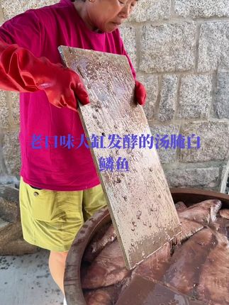 真正老口味大缸发酵的汤腌白鳞鱼咸臭香,想要的戳购物车