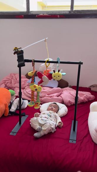 真实的测评电动玩具,信我的你们去买电动小鸟 #婴儿玩具 #带娃神器 #新手爸妈必看 #母婴好物推荐