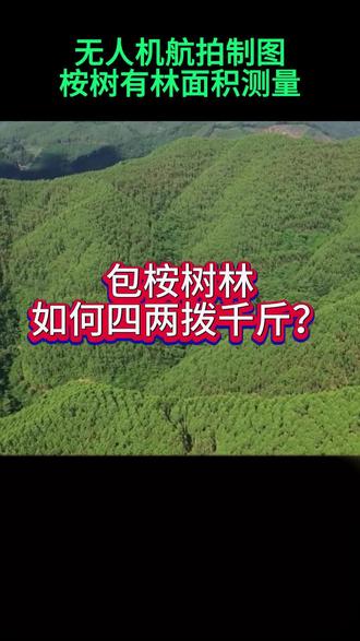 包桉树林,如何做到四两拨千斤?#桉树 #桉树测量 #无人机航拍 #桉树种植