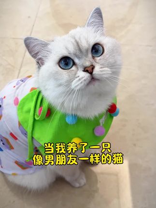 小西米是只淘气喵