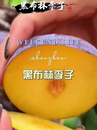 #优质农产品#精选水果#黑布林李子#香甜多汁
