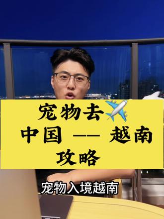 带宠物去越南攻略建议收藏
怎么带宠物去越南河内胡志明西贡芽庄
带宠物去越南需要什么
#宠物托运 #宠物出国 #宠物回国 #宠物移民