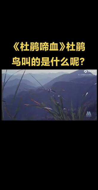 《杜鹃啼血》杜鹃鸟叫的是什么呢?