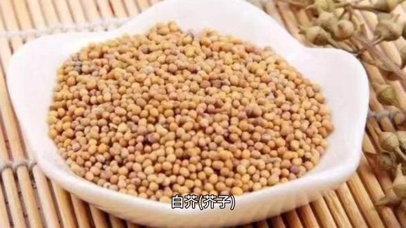 白芥(芥子)的作用与功效