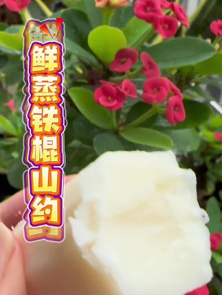 老话说夏吃山约似黄金,软软糯糯好吃又美味#潮汕人