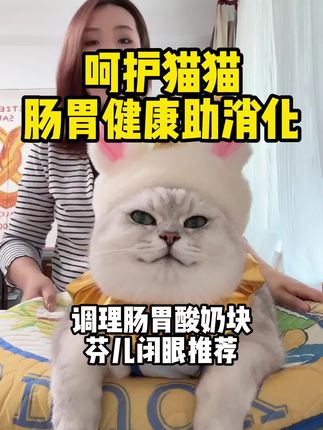 #猫粮推荐 #猫粮测评 #猫粮推荐性价比高排行榜 #养猫新手