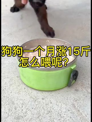 狗狗不挑食食欲好涨的快骨架增大体质强只需要五天时间,养狗先养肠是每个养狗人都应该知道的#科学养宠攻略 #养狗经验分享 #狗狗挑食 #肉狗养殖 #自繁自养