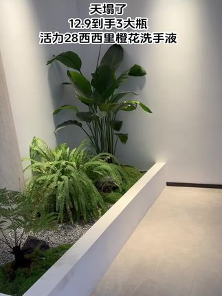 快快快,活力28又来福利了,快薅啊!#大品牌活力28 #洗手液 #便宜好物
