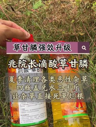 #除草 #开荒除草 #滴酸草甘膦 #除根烂根渗透力强一次解决#除草剂