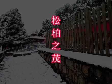 松柏之茂,张元显艺术茶器03132059 #张元显艺术 #张元显书画印 #张元显古琴 #张元显茶器 #文化传承
张元显简历
张元显,河南洛阳人。幼承家学,勤学操缦,弦歌鼓琴。挟策读《书》,讽诵《老》《莊》。游心翰墨,残简片牍,亹亹而求其本。临池习书,敦敦且畅其神。趣涉丹青,心仪先秦,纵横而有大象。余事金石,独惭雕虫刻核,周奇字,战汉陶文。官止神行, 奏刀龟趺声砉剨。运斤风成 ,戏把寸铁刓云根。含哺而 熙,黜精研于彩绘。鼓腹而游, 罢规矩于方圆。埏埴为器,弄沙抟泥,戏拈铁笔游阳羡。或持斧斤,心斋七日,焚香斫琴下广陵。超然而冥心象外,安然而守于環中。意观任公投饵犗 ,岂覕蛮触相侵争。拙于生事 ,環堵萧然。养志忘形。箪瓢屡空,而未尝低眉为可怜之色。 知足而富,心安而贵。居居而 卧,含哺而熙乎澹泊。于于而起, 鼓腹而游乎混茫。玄武在戊戌, 大雪前六日,鹤父志于京华昌平东关古玩市肆C15斋。