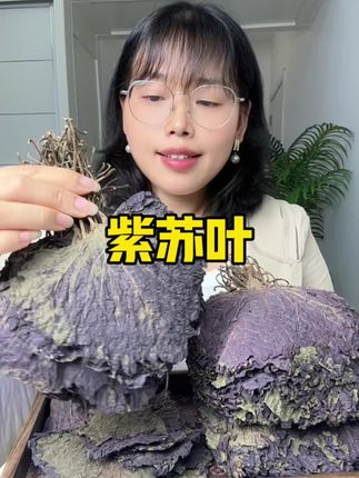 三伏天正是喝吃紫苏的好时候,可以经常拿来煮水#紫苏#紫苏叶#紫苏叶子#紫苏煮水#紫苏饮