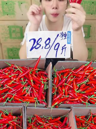 #现摘现发新鲜到家 #小米辣#朝天椒 #特辣爆辣 #舌尖上的美食