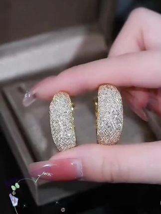 合金耳饰 轻奢网状水晶水滴耳圈高级耳环气质2023个性设计圈#时尚饰品 #精美耳饰