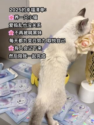 小猫 坠美的自己 我的他 幸福的2025~#2025要结束了#国庆#护肤必备#冷白皮#欧诗漫美白淡斑面膜