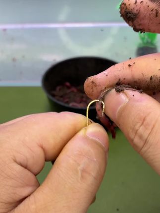 #蚯蚓挂钩方法 #红虫挂钩新方法 #四海伴侣上饵器