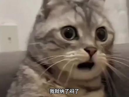 懂车帝续航测试竟同时得罪四拨人#懂车帝续航测试 #小米SU7续航PK
